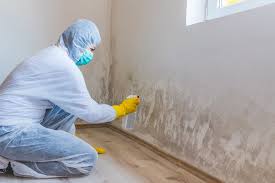 Trusted South Weber, UT Mold Removal & Remediation Experts